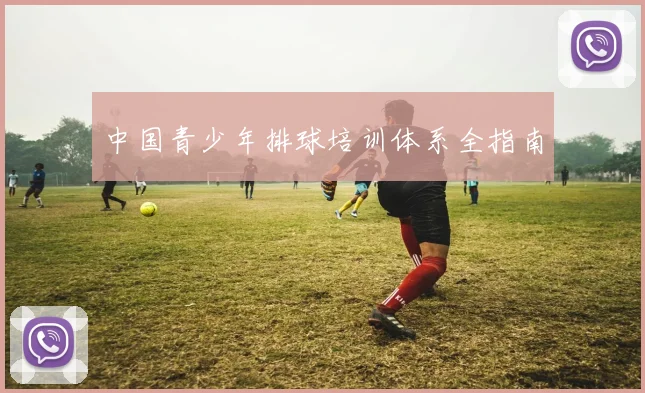 中国青少年排球培训体系全指南